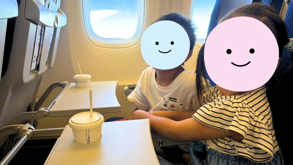 flight-drink